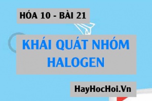 Nhóm Halogen: Vị trí, Cấu hình electron, Cấu tạo phân tử, Sự biến đổi tính chất Vật lý, Hóa học của Halogen - Hóa 10 bài 21